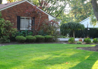 Lyndhurst Trees and Shrubs