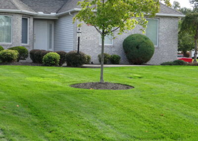 Richmond Heights Pesticide Treatment