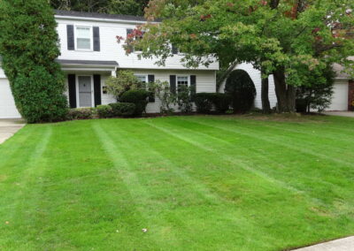 Willoughby Hills Lawn Aeriation and De-Thatching